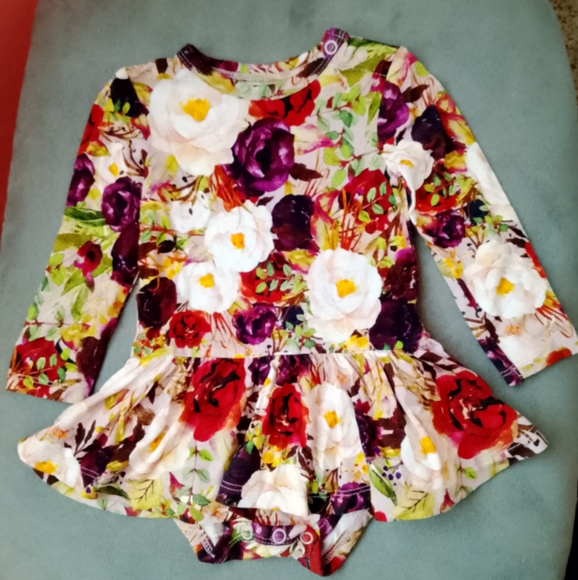 Posh Peanut Other - Posh Peanut 3-6 Months Floral Rose Twirl Skirt Infant Bodysuit Dress Long Sleeve